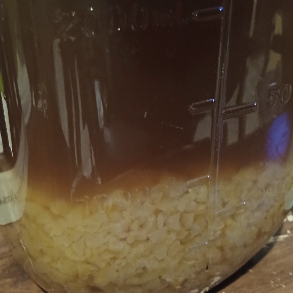 Kit kefir live water grains